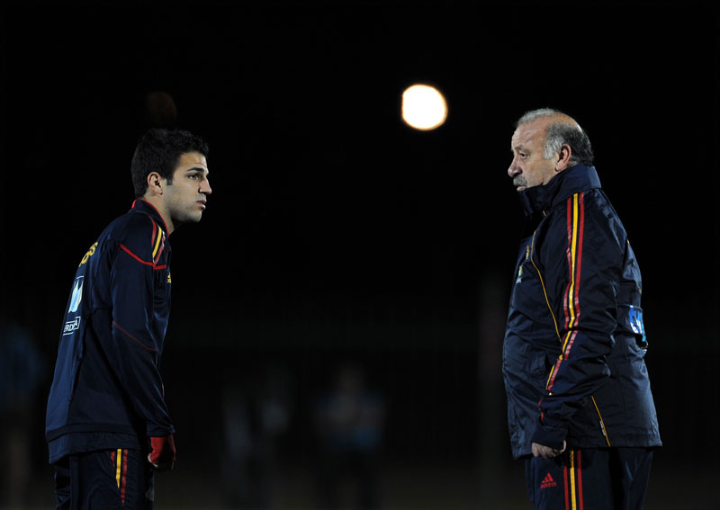 Cesc Fabregas and Vicente del Bosque